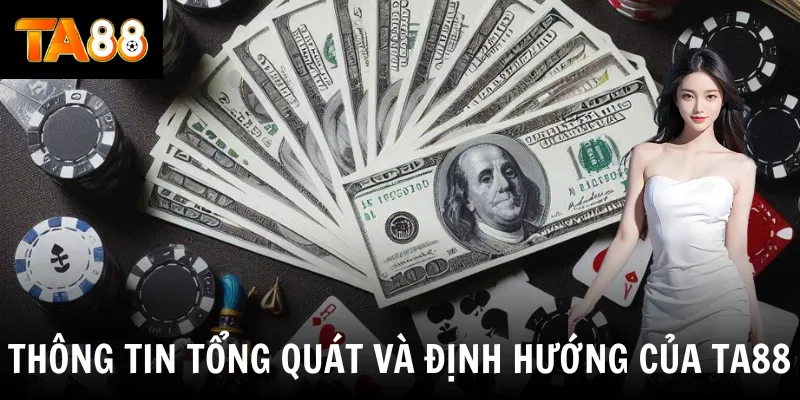 Thông tin tổng quan và định hướng của TA88